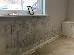 Condensation on wall in Swansea